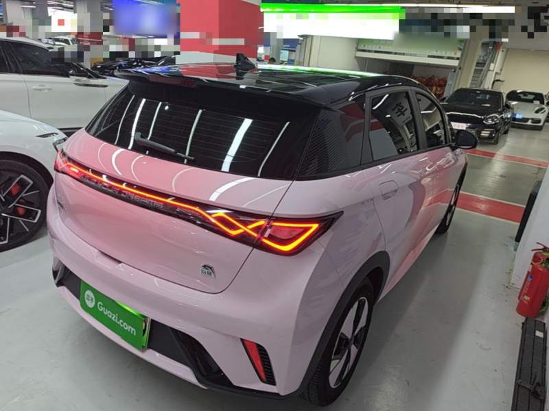 Used BYD Dolphin 2023 420 km Fashion Edition — 6