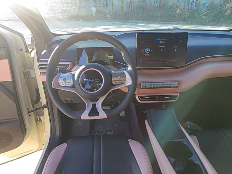 Used BYD Seagull 2024 Honor Edition 305km Dynamic Version — 10