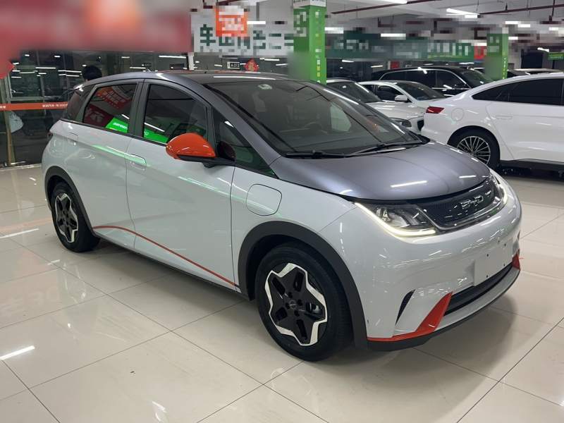 Used BYD Dolphin 2021 405 km Fashion Edition — 31