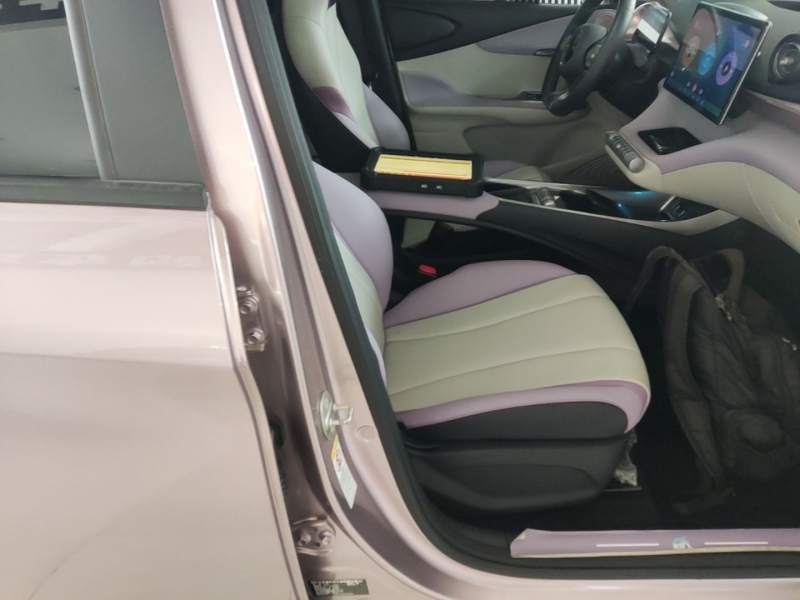 Used BYD Dolphin 2021 401km Knight Edition — 24