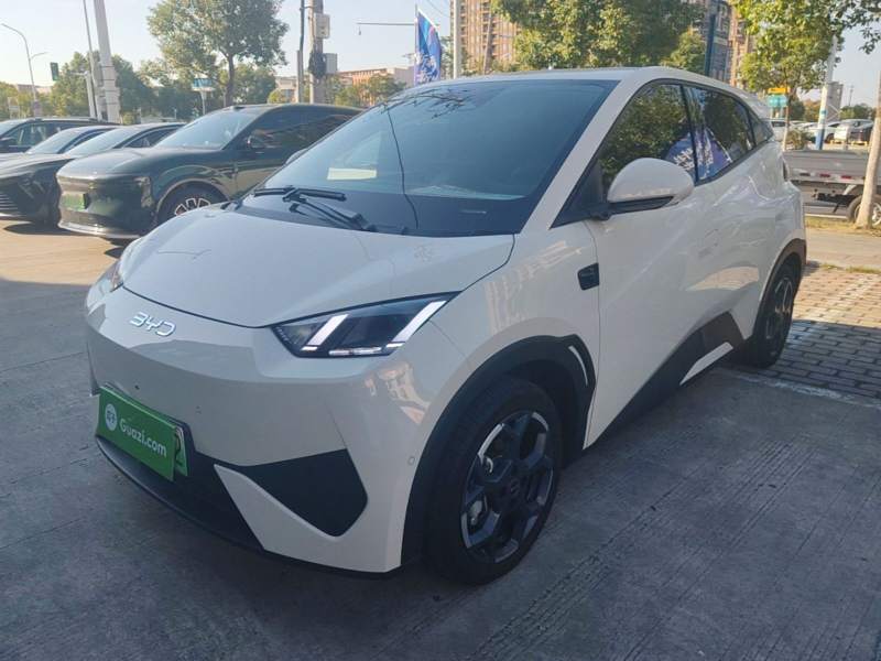 Used BYD Seagull 2025 Smart Drive Version 305 km Freedom Edition