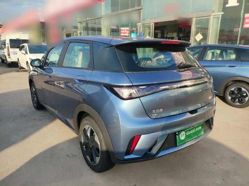 Used BYD Dolphin 2025 420km Free Edition — 4