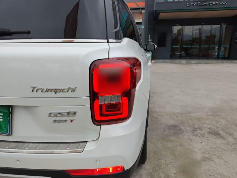 Used GAC Trumpchi GS8 2019 390T Two-Wheel Drive Luxury Smart Connectivity Version (7 Seats) — 7