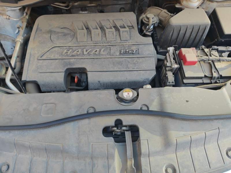 Used Haval H6 2018 Red-Label Sport Version 1.5T Manual Two-Wheel Drive Elite Model — 21
