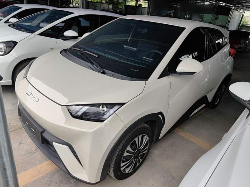 Used BYD Seagull 2025 305 km Free Version — 1