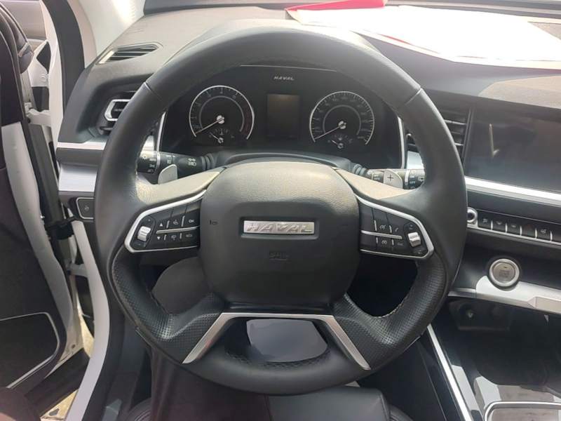 Used Haval H6 2017 Blue Label 2.0T Automatic Two-Wheel Drive Smart Edition — 10
