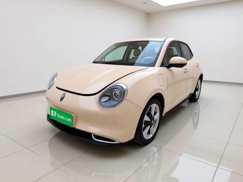 Used ORA Good Cat 2023 401 km Standard Range Luxury Version Lithium Iron Phosphate