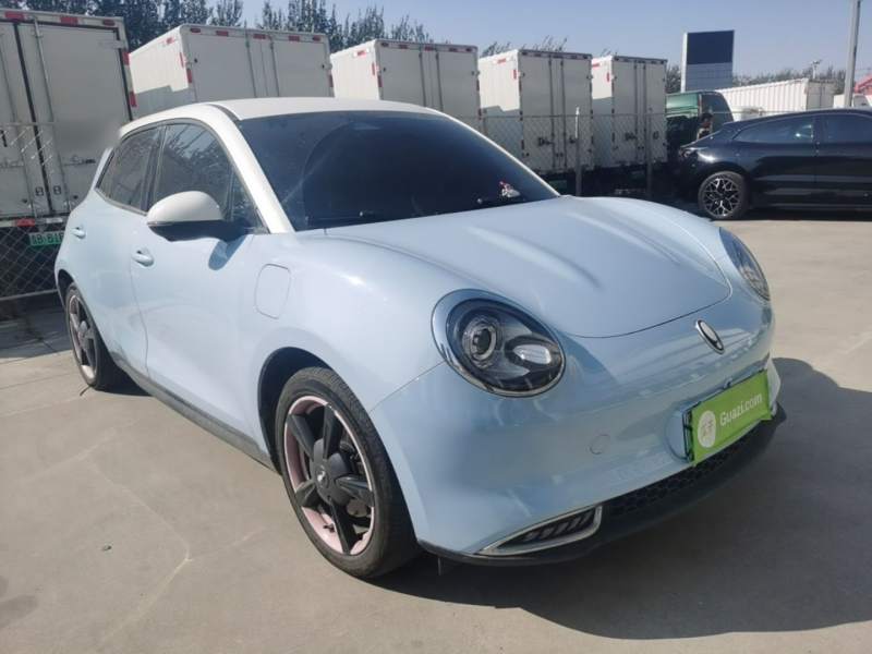 Used ORA Good Cat 2022 400km Standard Range Luxury Version Lithium Iron Phosphate — 27
