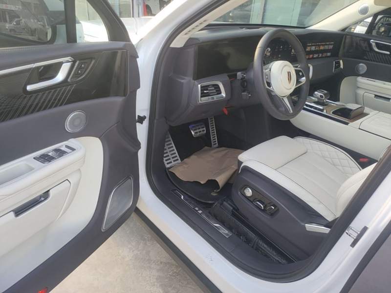 Used Hongqi E-HS9 2021 510 km Flagship Edition Four Seats — 15
