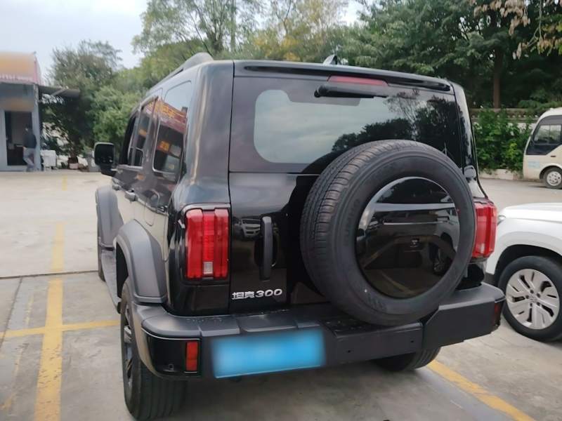 Used Tank 300 2024 2.0T Conqueror — 4