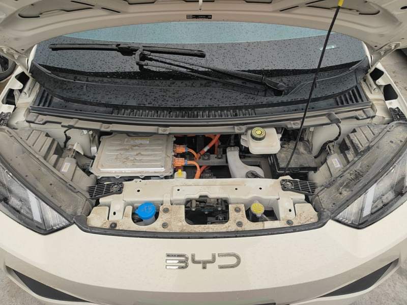 Used BYD Seagull 2025 Intelligent Driving Version 305 km Dynamic Edition — 19