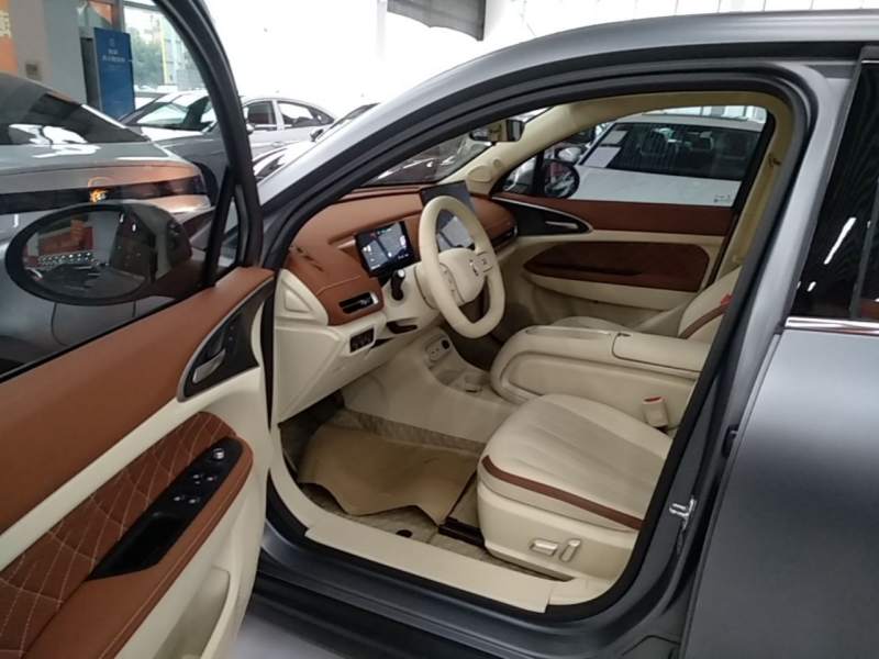 Used ORA Good Cat 2025 Model, 430 km Prestige Version — 15