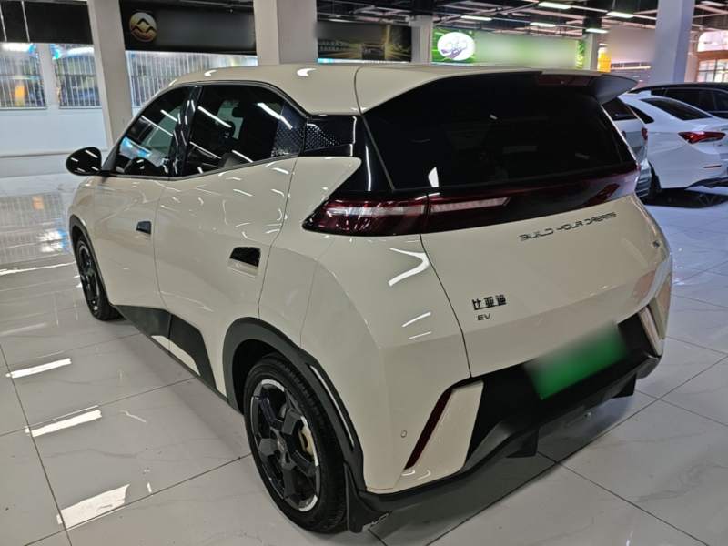 Used BYD Seagull 2024 Honor Edition 305km Freedom Version — 4