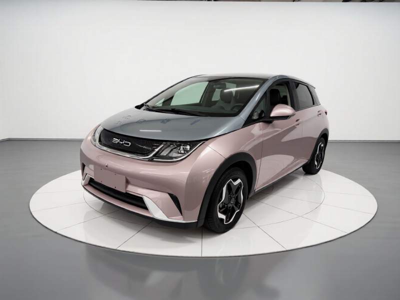 Used BYD Dolphin 2021 405 km Fashion Edition