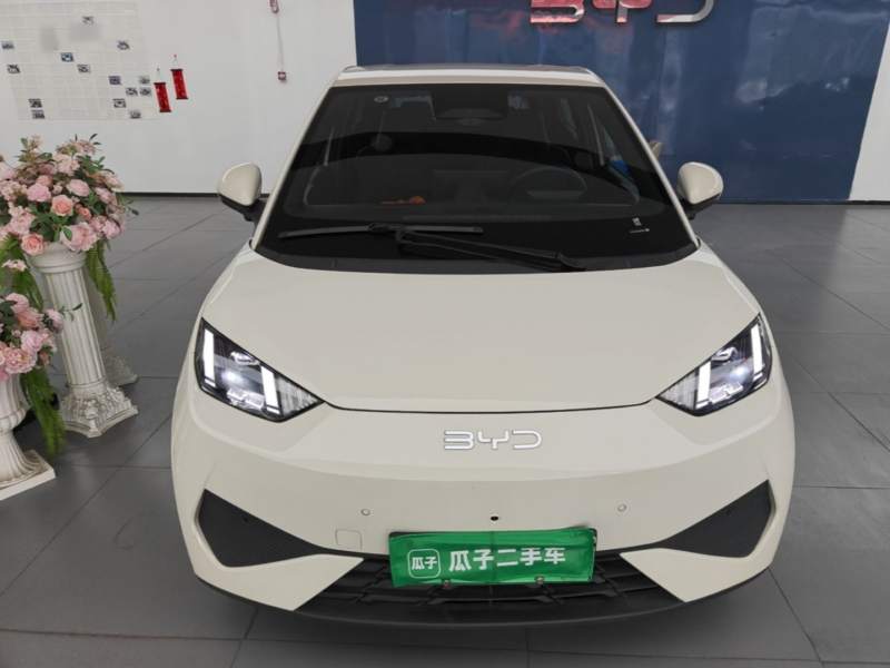 Used BYD Seagull 2025 Smart Drive Version 305 km Freedom Edition — 2