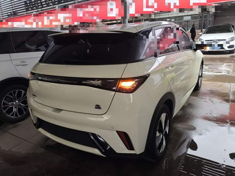 Used BYD Dolphin 2023 420 km Fashion Edition — 6