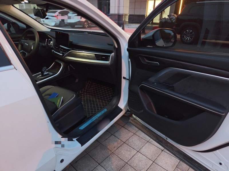 Used Haval H6 2021 National Trend Edition 1.5T Automatic Champion Version — 20