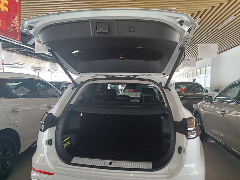 Used Hongqi HS5 2023 2.0T Qixiang Pro Edition — 18