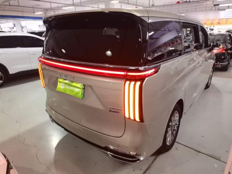 Used Wey Gaoshan 2023 Four-Wheel Drive Flagship Edition — 6
