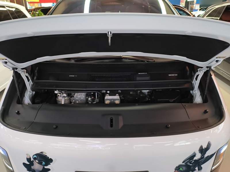 Used Li Auto MEGA 2025 Home Family Special Edition — 19