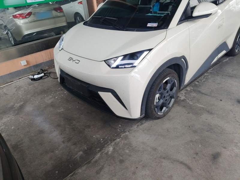 Used BYD Seagull 2025 305 km Free Version — 23