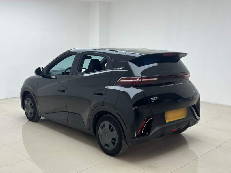 Used BYD Seagull 2024 Honor Edition 305km Dynamic Version — 30