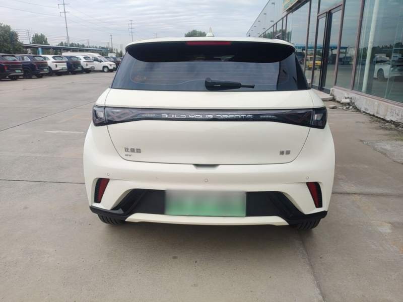 Used BYD Dolphin 2024 Honor Edition 302km Dynamic Version — 5