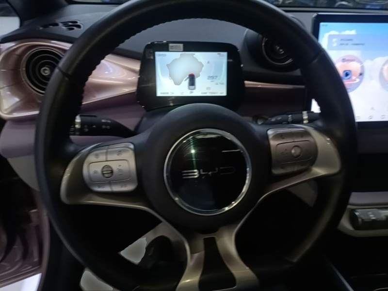 Used BYD Dolphin 2021 405 km Fashion Edition — 10