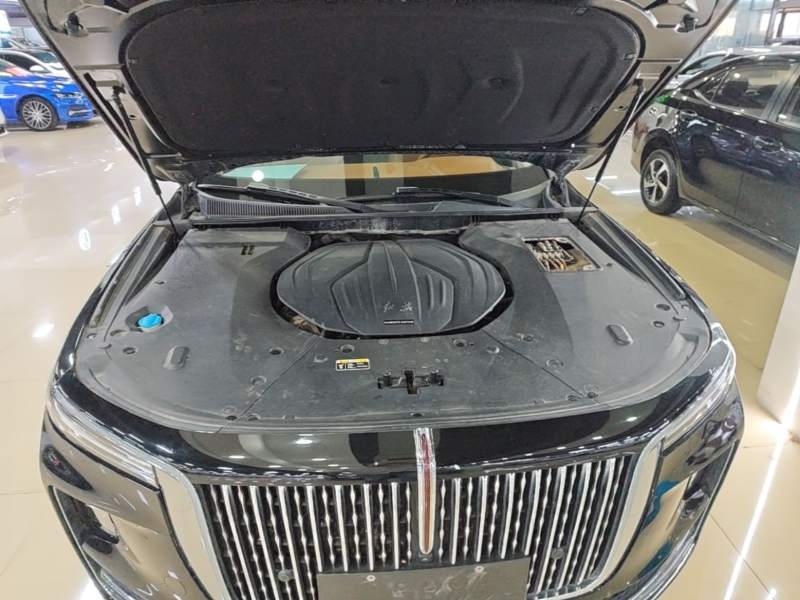 Used Hongqi H9 2020 2.0T Smart Connect Flagship Edition – Chinese Trim Xiang — 19