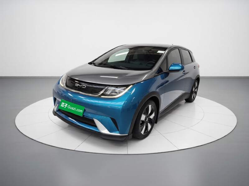 Used BYD Dolphin 2021 401km Knight Edition — 1