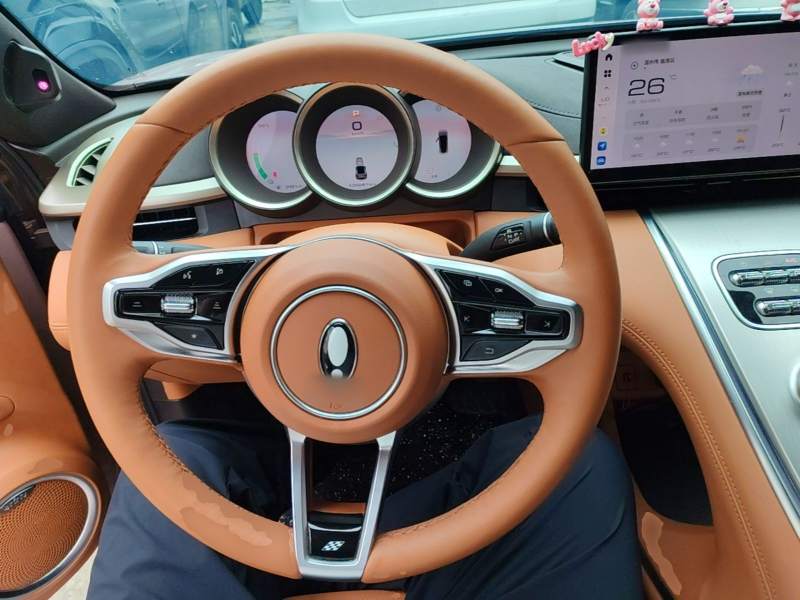 Used ORA Lightning Cat 2022 555 km Luxury Edition – Premium — 10