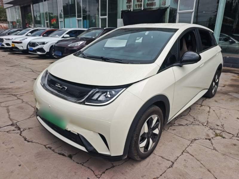 Used BYD Dolphin 2025 420km Free Edition