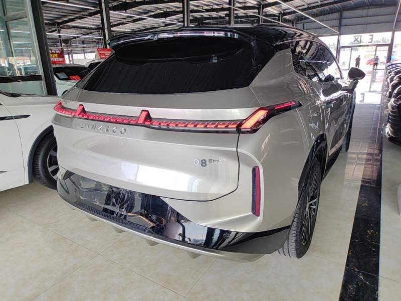 Used Lynk & Co 08 EM-P 2023 120km Long-Range Halo — 6