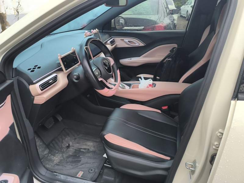 Used BYD Seagull 2025 305km Active Version — 14
