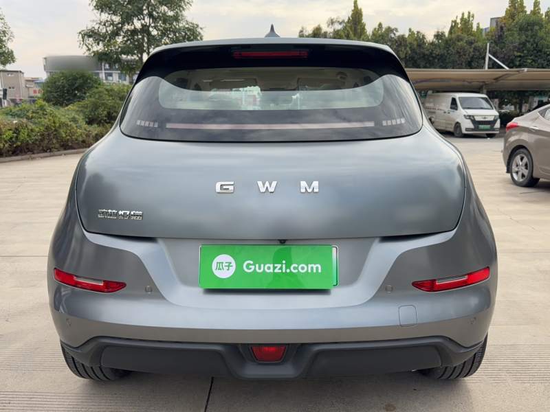 Used ORA Good Cat 2025 Model, 430 km Prestige Version — 5