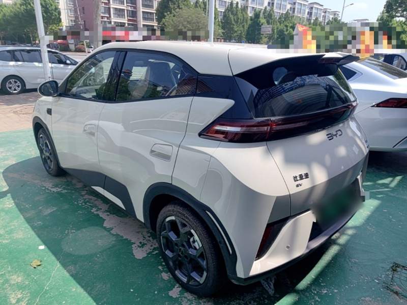Used BYD Seagull 2025 Smart Drive Version 305 km Freedom Edition — 20