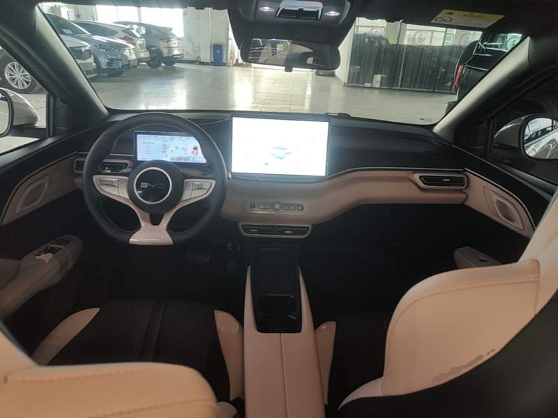 Used BYD Seagull 2025 Smart Drive Version 305 km Freedom Edition — 9