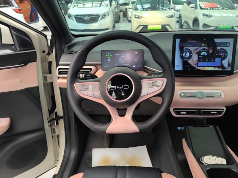 Used BYD Seagull 2025 Intelligent Driving Version 305 km Dynamic Edition — 10