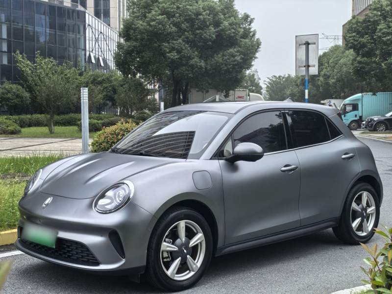 Used ORA Good Cat 2025 Model, 430 km Prestige Version — 28