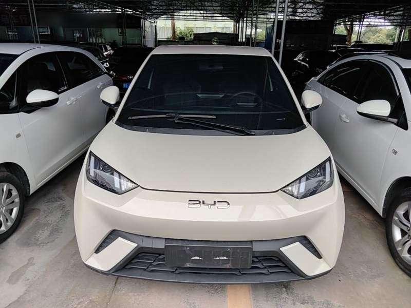 Used BYD Seagull 2025 305 km Free Version — 2