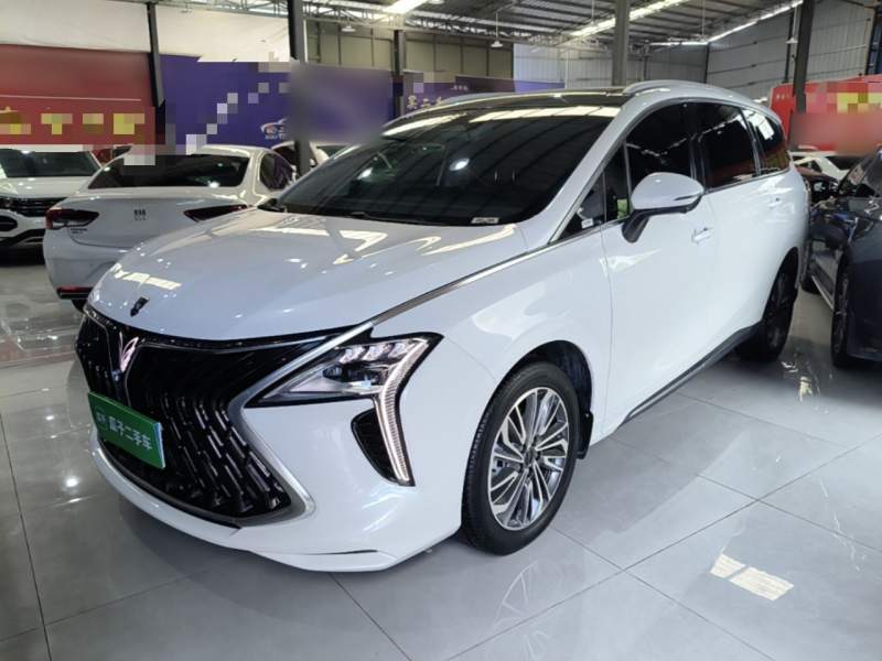 Used FORTHING Yacht 2024 1.5T DCT Guanhai Edition