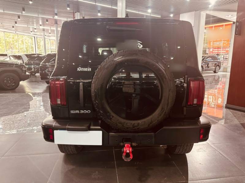 Used Tank 300 2024 2.0T Challenger — 6