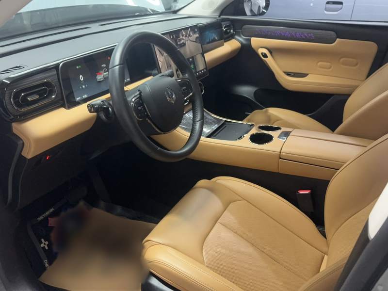 Used Leapmotor C11 2024 All-Electric 580 Luxury Edition — 14