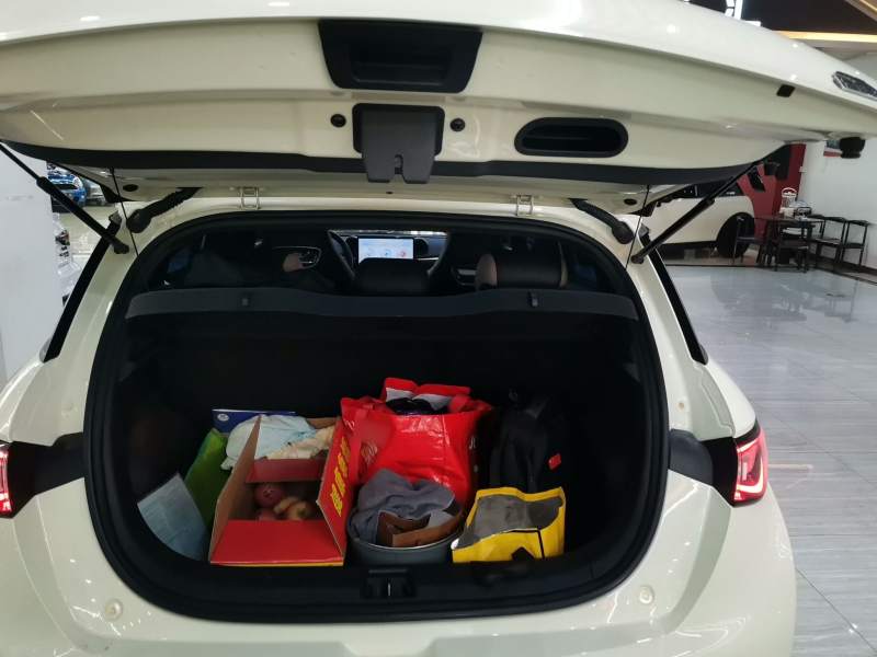 Used BYD Dolphin 2023 420 km Fashion Edition — 18