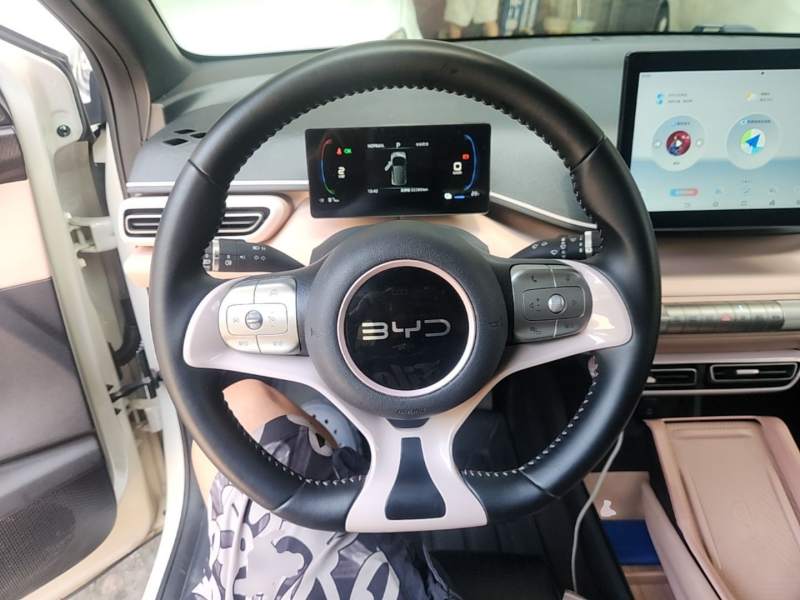 Used BYD Seagull 2024 Honor Edition 305km Freedom Version — 10