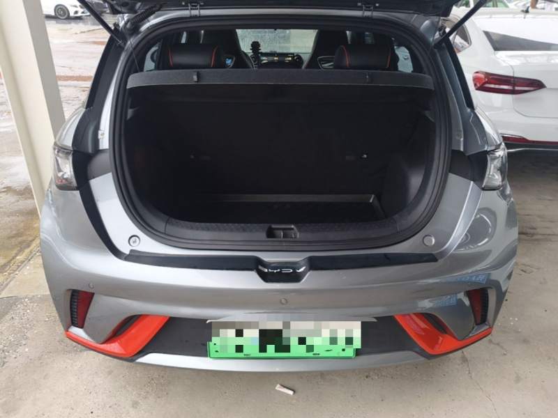 Used BYD Dolphin 2021 405 km Fashion Edition — 18