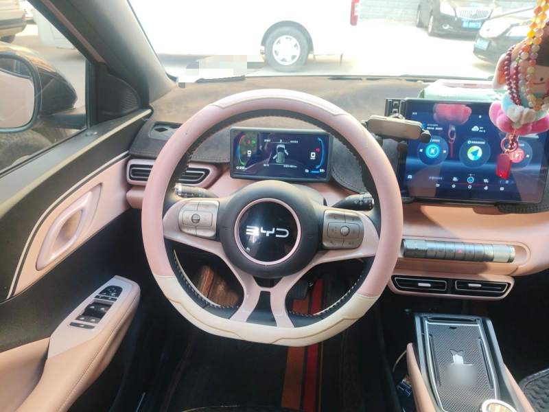 Used BYD Seagull 2024 Honor Edition 305km Freedom Version — 11