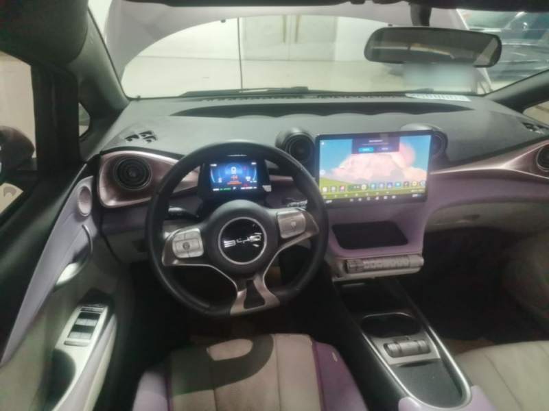 Used BYD Dolphin 2023 420 km Free Version — 10