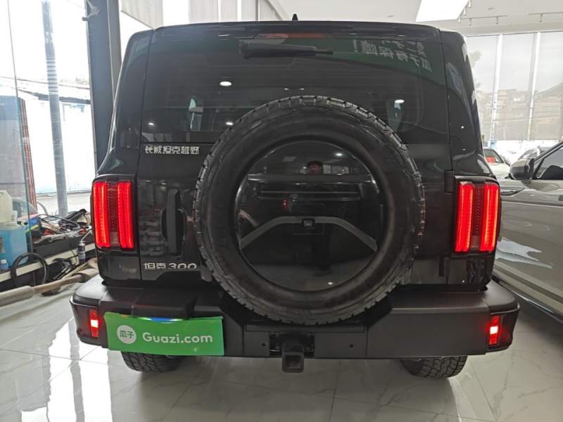 Used Tank 300 2024 2.0T Conqueror — 5
