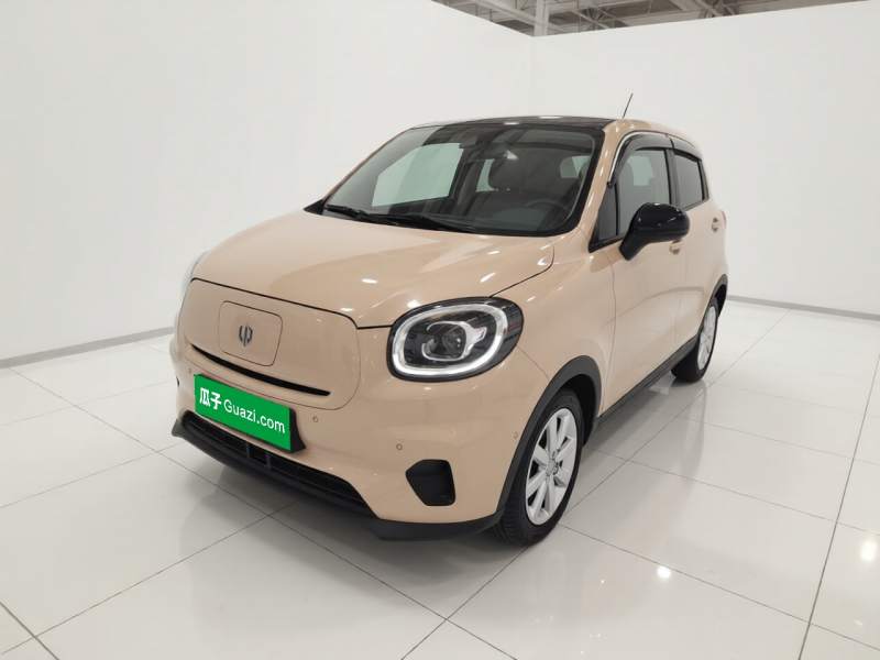 Used Leapmotor T03 2021 400 Luxury Pro Edition